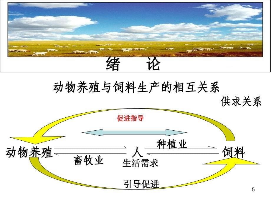 饲料生产与加工绪论畜牧业发展_第5页