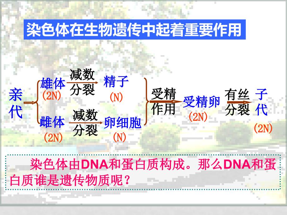 高中生物DNA是主要的遗传物质课件人教版必修2_第3页