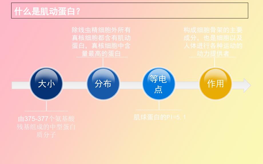 肌动蛋白的简要介绍_第3页