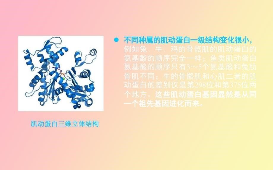 肌动蛋白的简要介绍_第5页