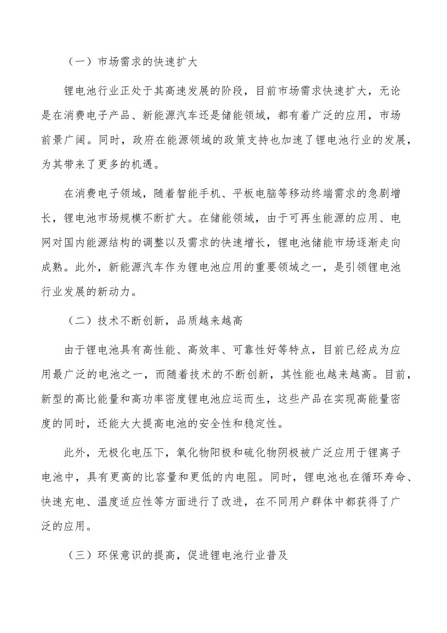 锂电池行业前瞻与投资战略规划报告_第2页