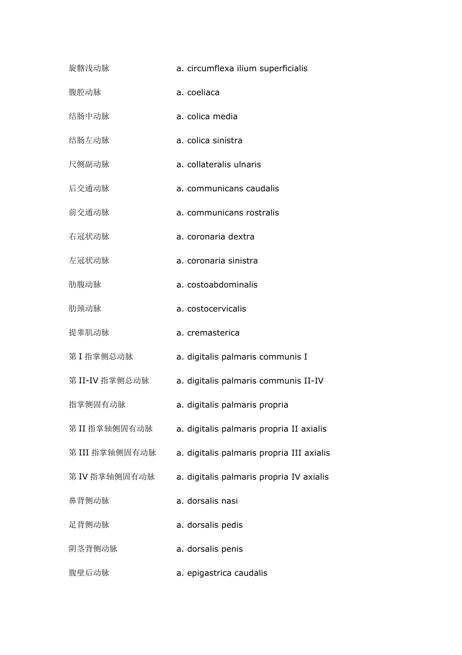 解剖中英文对照_第3页