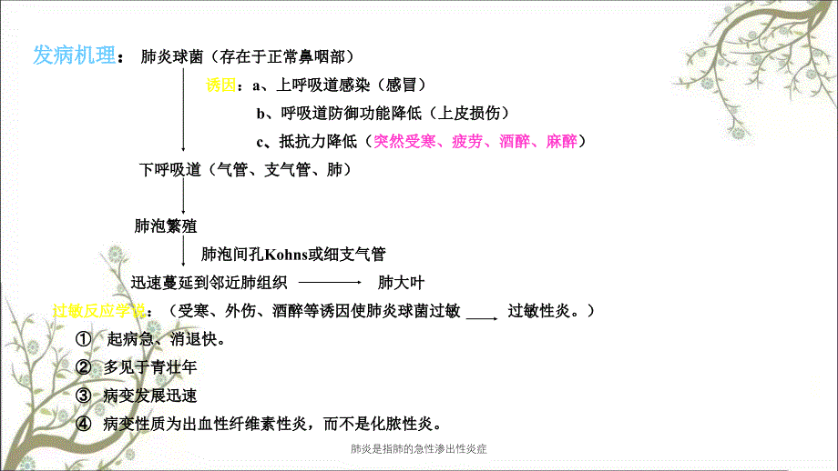 肺炎是指肺的急性渗出性炎症课件_第3页