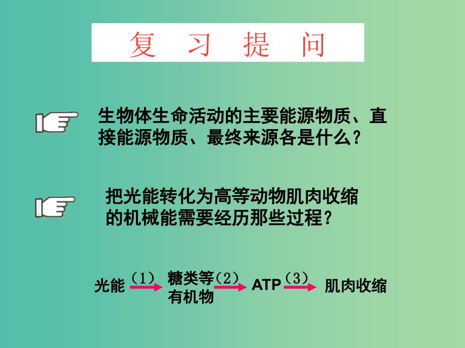 高中生物 5.3ATP的主要来源-细胞呼吸课件 新人教版必修1.ppt_第2页