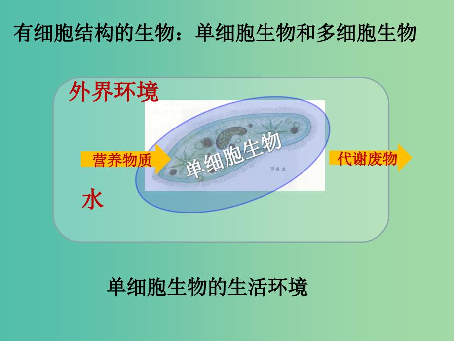 高中生物 1.1 细胞生活的环境课件1 新人教版必修3 .ppt_第3页