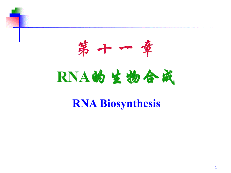 第11章 RNA的生物合成 转录_第1页