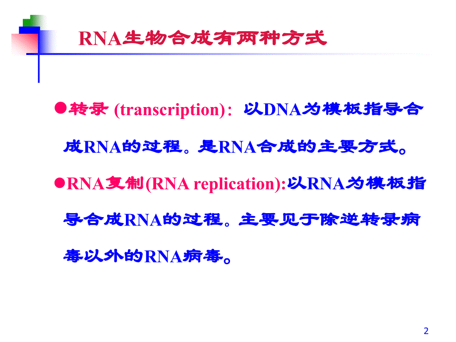 第11章 RNA的生物合成 转录_第2页