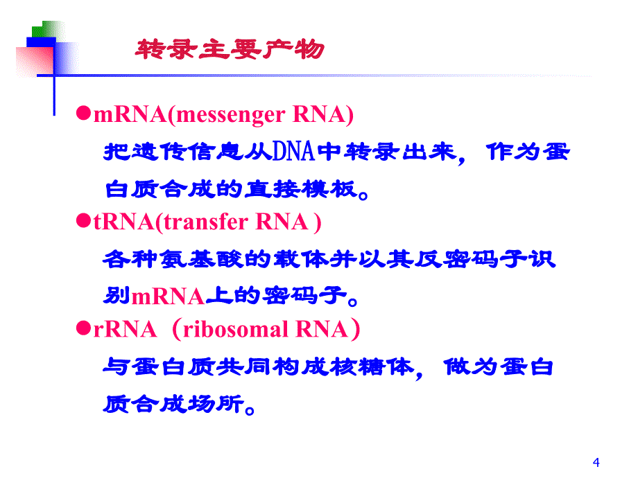 第11章 RNA的生物合成 转录_第4页