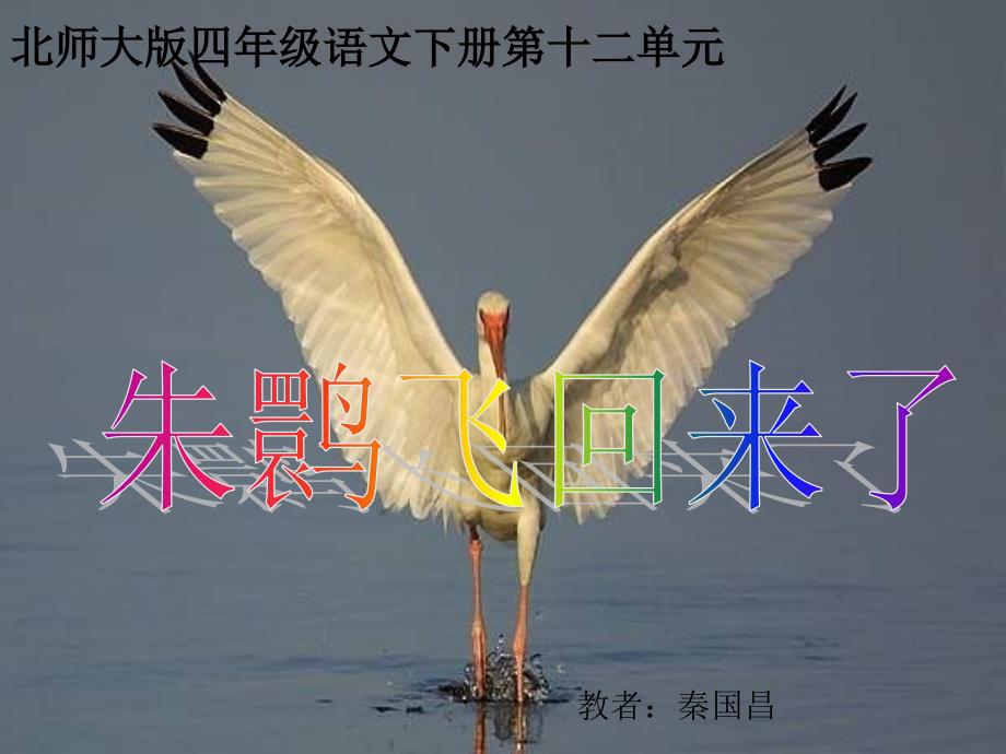 北师版语文第八册朱鹮飞回来了ppt课件1_第1页