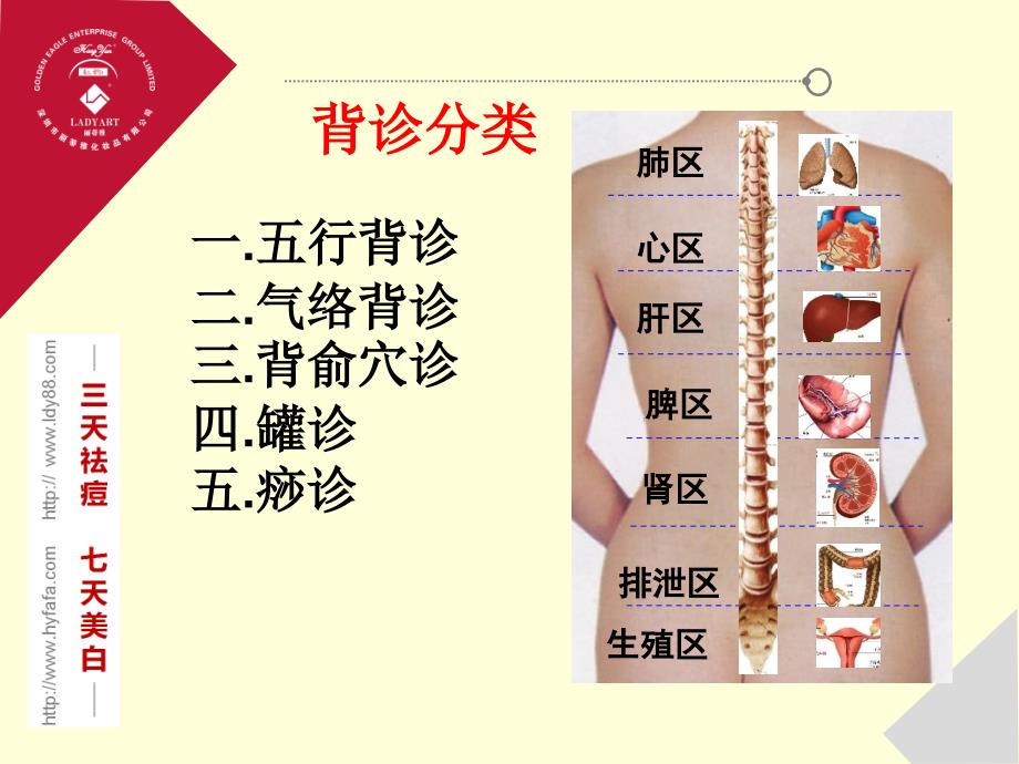 11中医基础背诊ppt_第2页