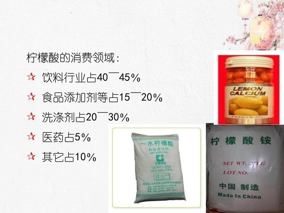 生物化工产品的开发及生产技术课件_第5页