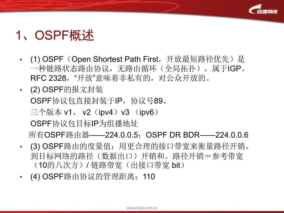 ＋3 单区域OSPF_第5页