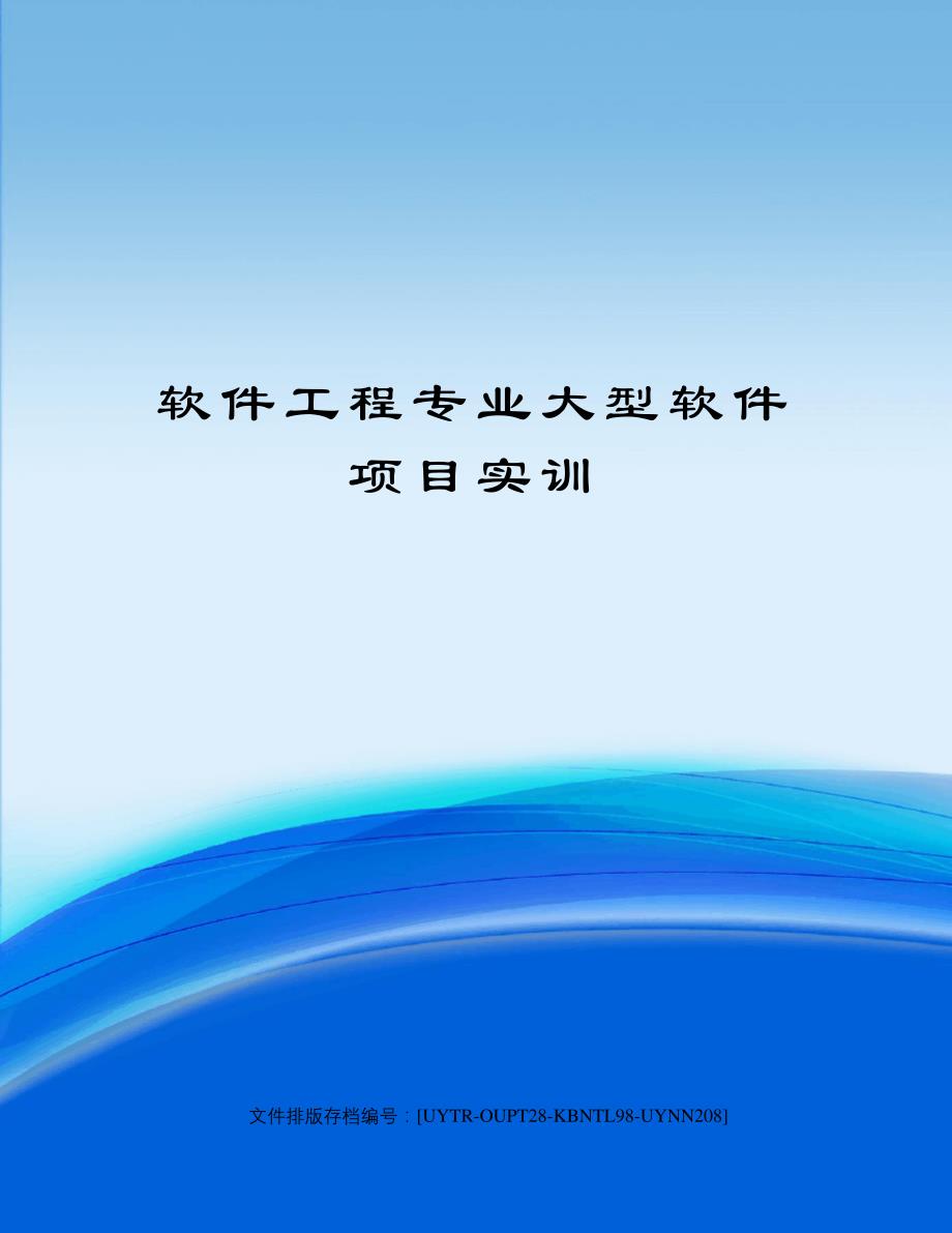 软件工程专业大型软件项目实训_第1页