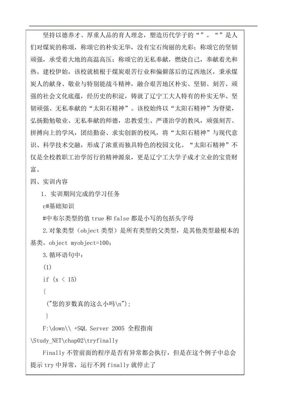 软件工程专业大型软件项目实训_第4页