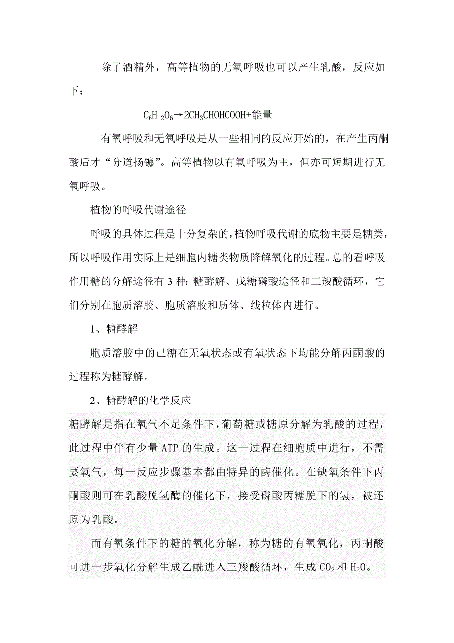 植物的光合作用.doc_第4页