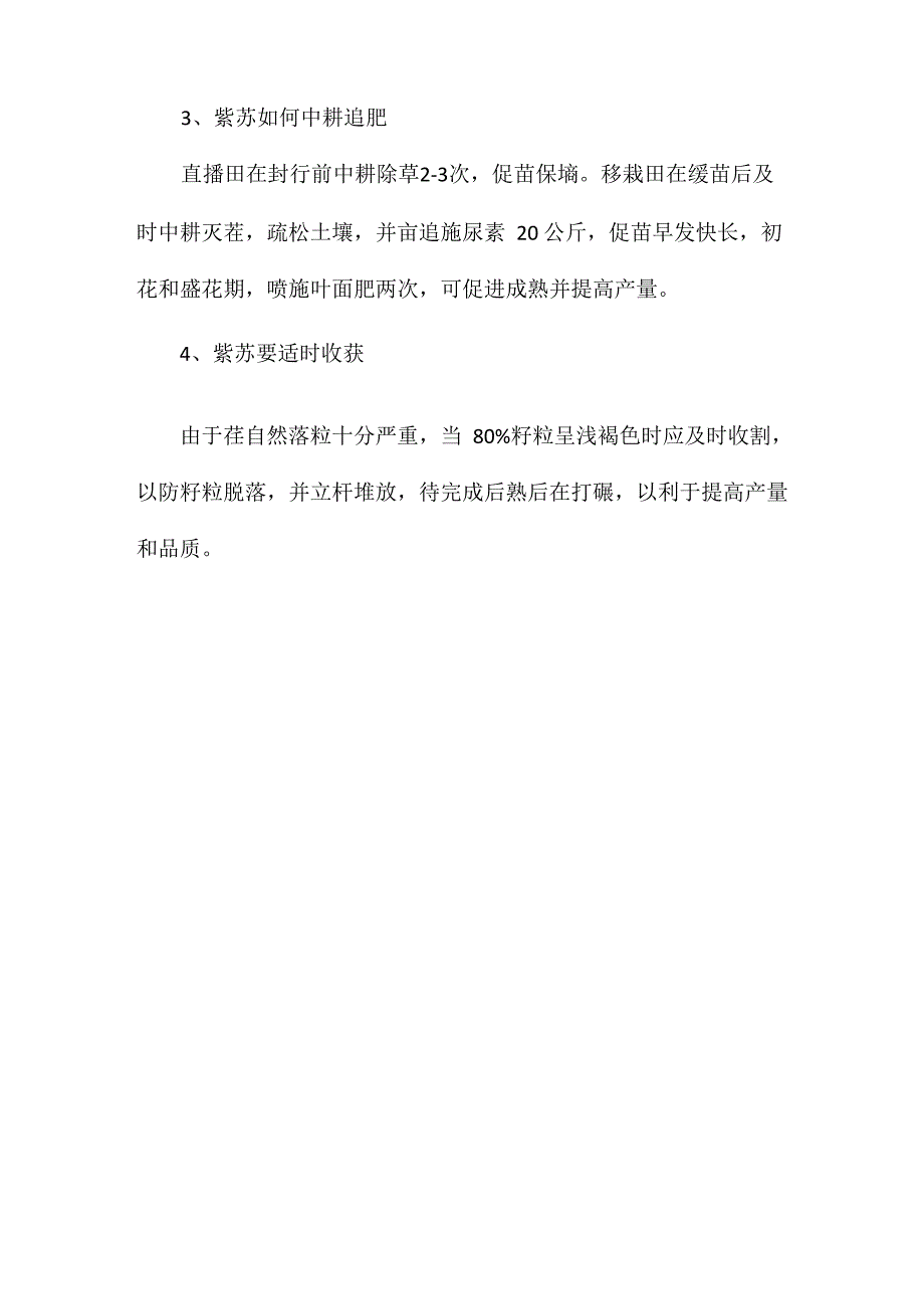 紫苏播种时间和方法紫苏种植技术与栽培管理_第3页