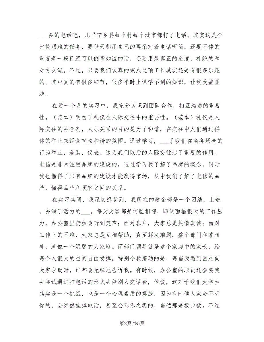 2022年电信公司政企部实习总结_第2页