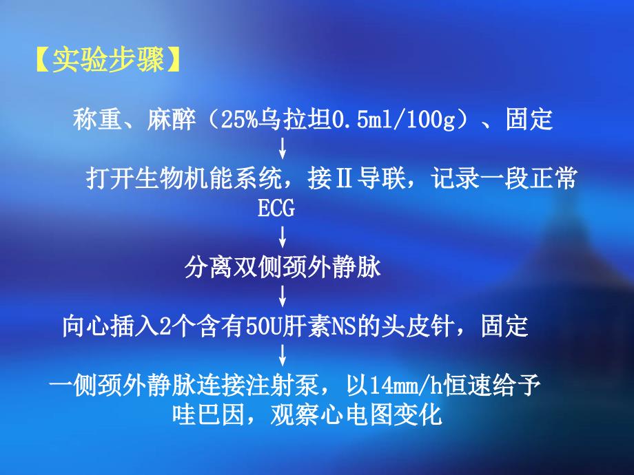 利多卡因对哇巴因诱发的心律失常的拮抗作用_第4页