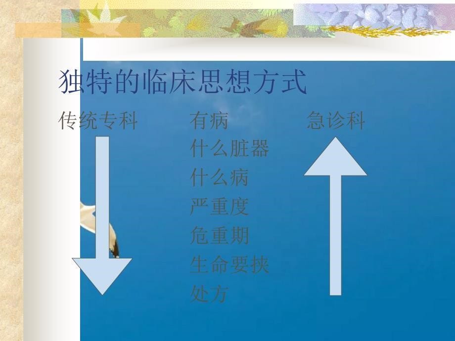 急诊医学特点与急诊诊治体会ppt课件_第5页