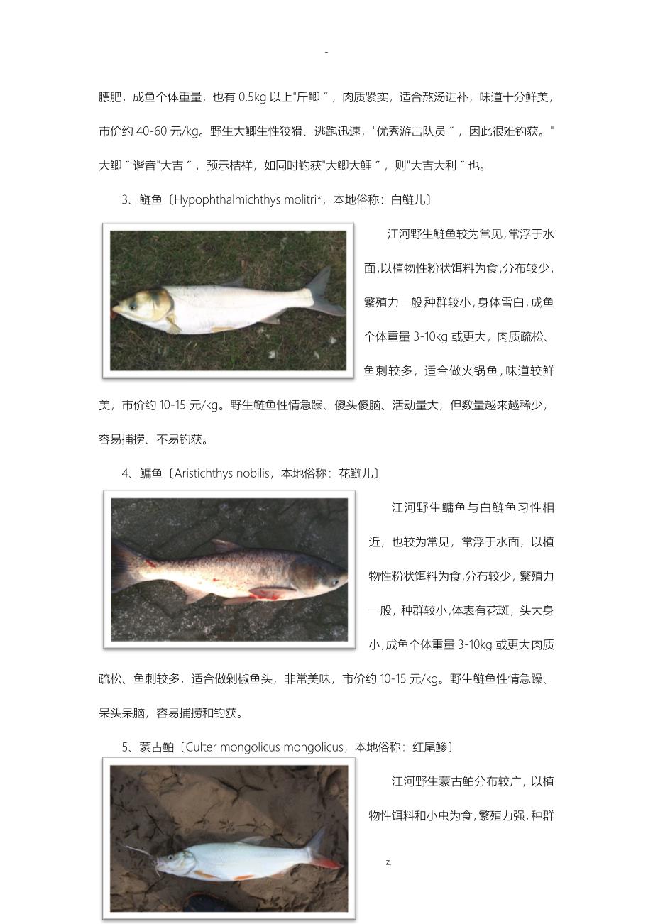 关于加强阆中江河鱼类生态资源保护的建议_第3页