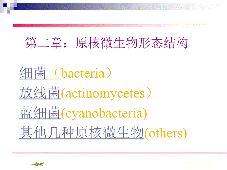 原核微生物形态结构_第1页