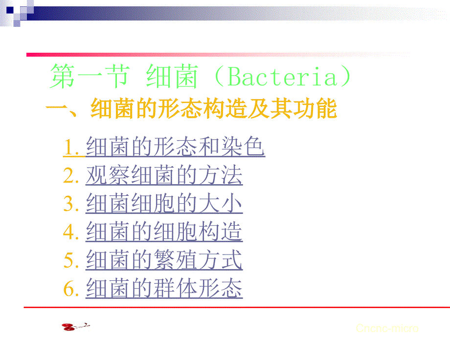 原核微生物形态结构_第2页