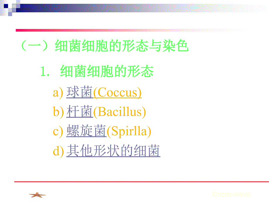 原核微生物形态结构_第3页