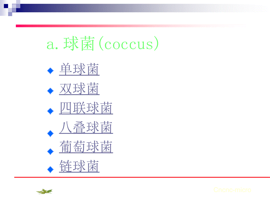 原核微生物形态结构_第4页