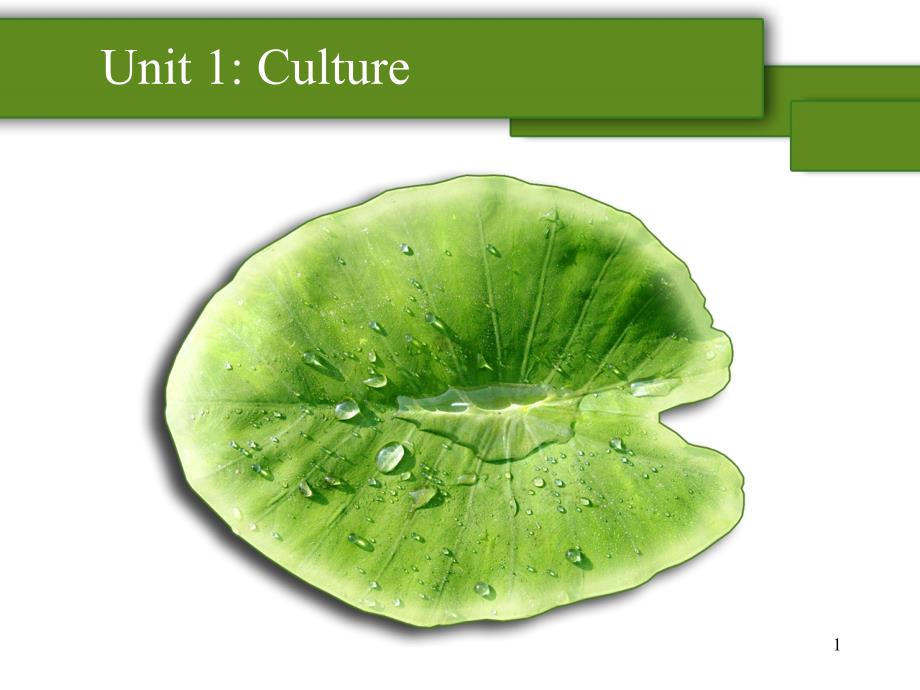 跨文化交际culture课堂PPT_第1页