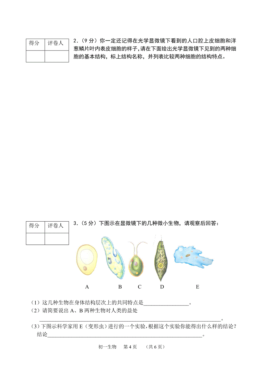 第一学期期末质量检测-初一生物_第4页