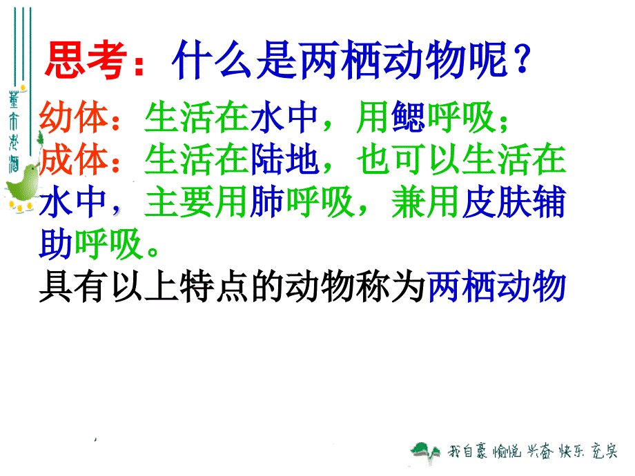 5两栖动物和爬行动物修改版_第2页