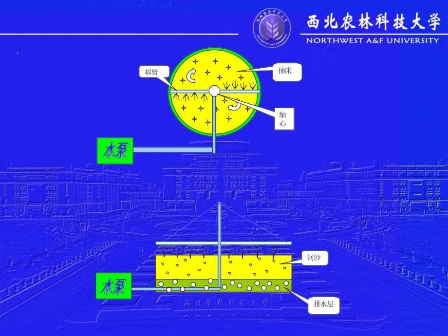 12.全光照自动喷雾扦插育苗_第5页