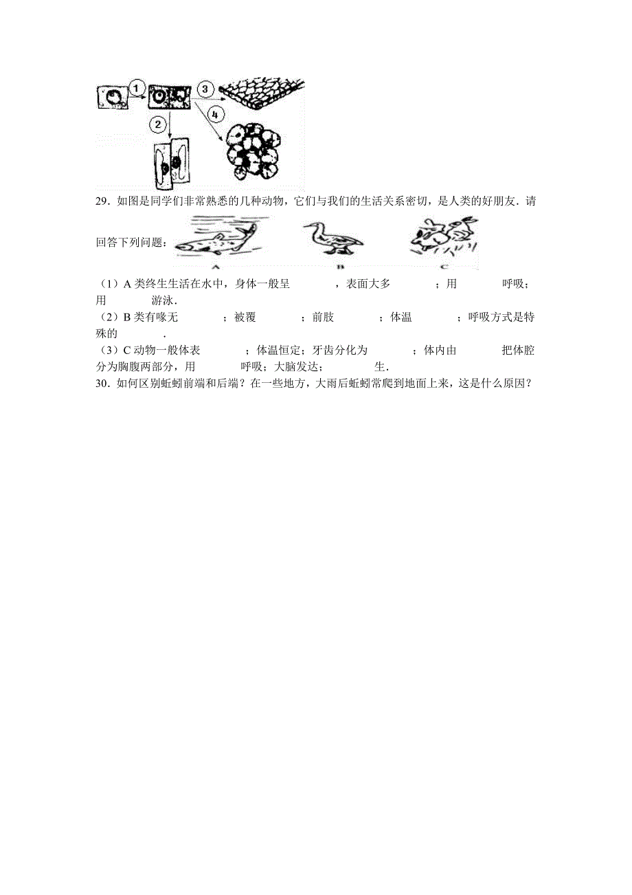 七年级（上）第四次达清生物试卷_第4页