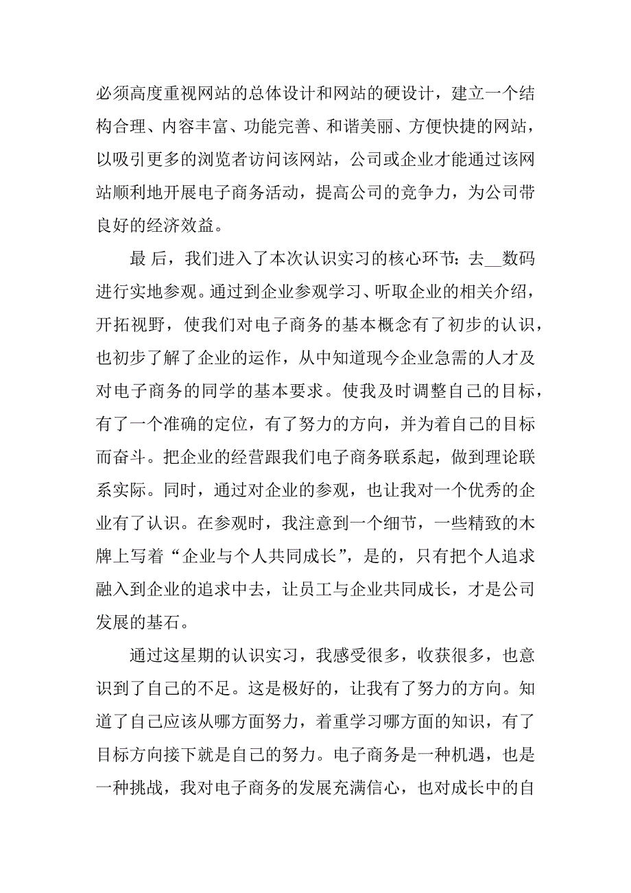 大学生电子商务实习报告3篇(大学电子商务实训报告)_第3页