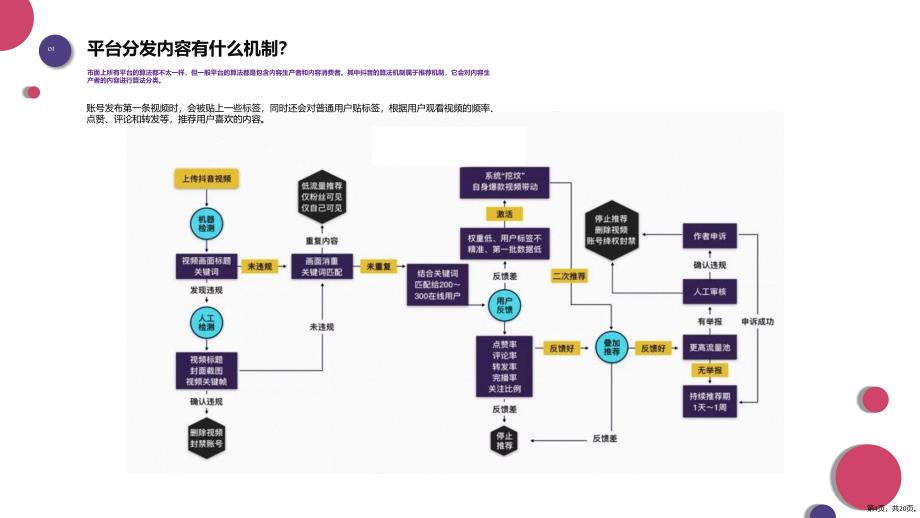 2020年抖音运营干货分享--抖音培训课互联网平课件(PPT 20页)_第4页