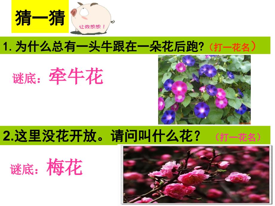 茉莉花陈志多_第2页