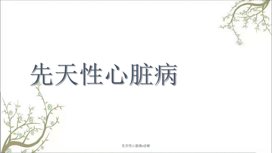 先天性心脏病x诊断_第1页