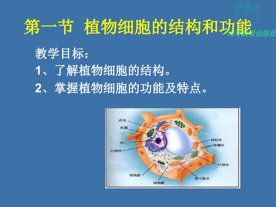 第三节植物体营养器官的结构和功能_第3页