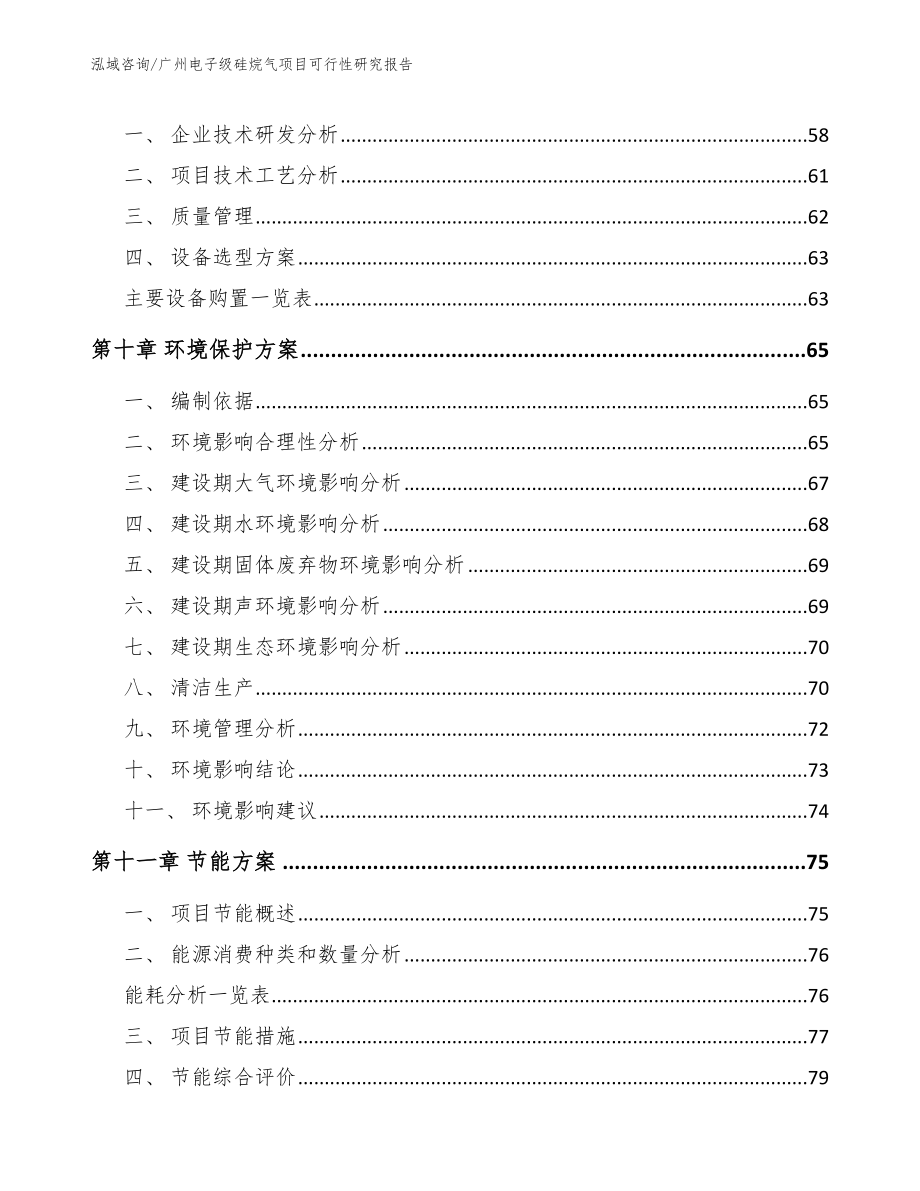 广州电子级硅烷气项目可行性研究报告_第3页