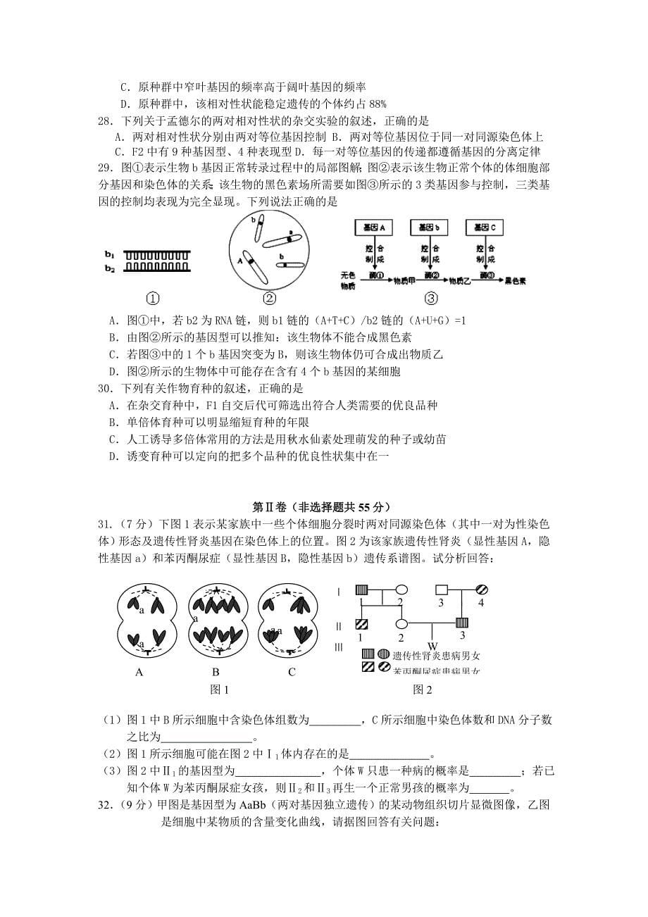 江苏省如皋市第一中学2013届高三上学期学情调研测试生物试题.doc_第5页