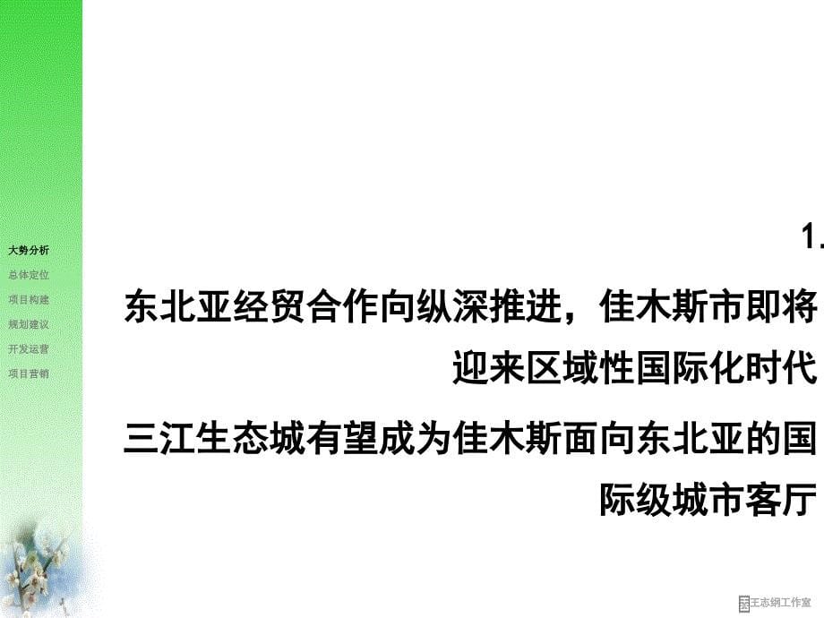 黑龙江佳木斯三江生态城战略策划报告146PPTXXXX年王志纲课件_第5页