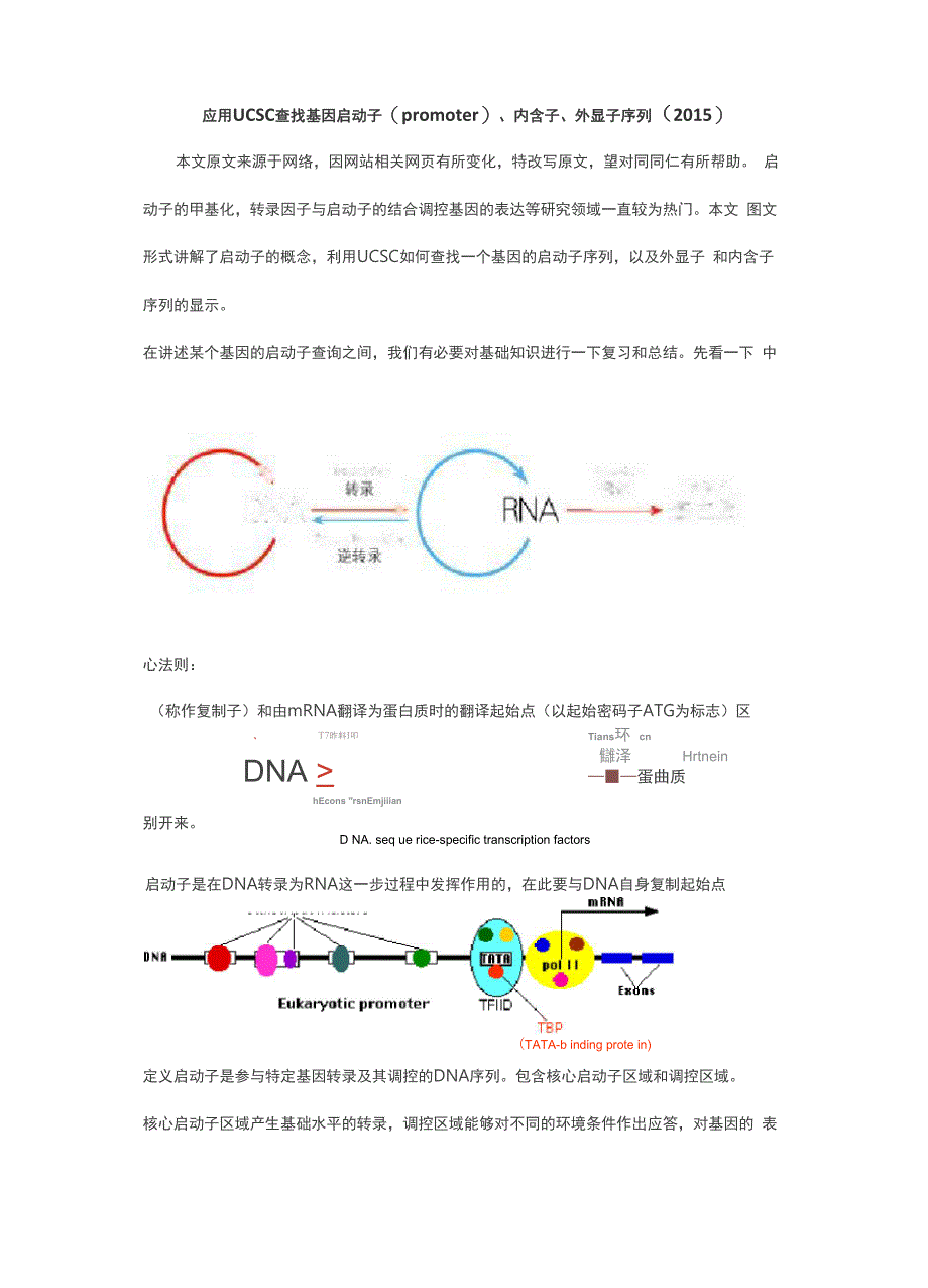 使用UCSC查找基因启动子区域方法_第1页