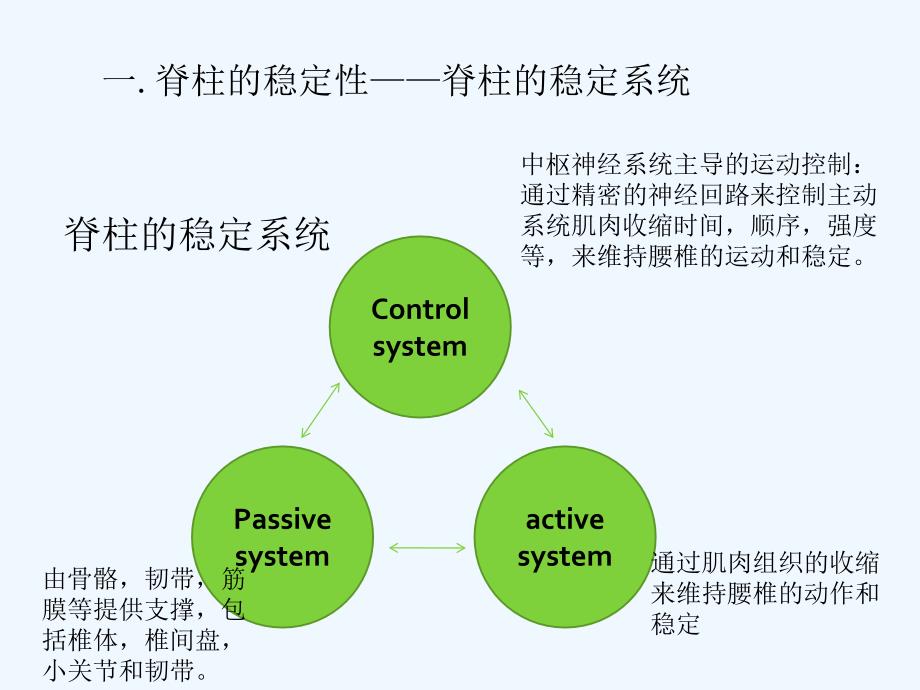 下腰痛的生物力学分析及康复训练ppt课件_第4页