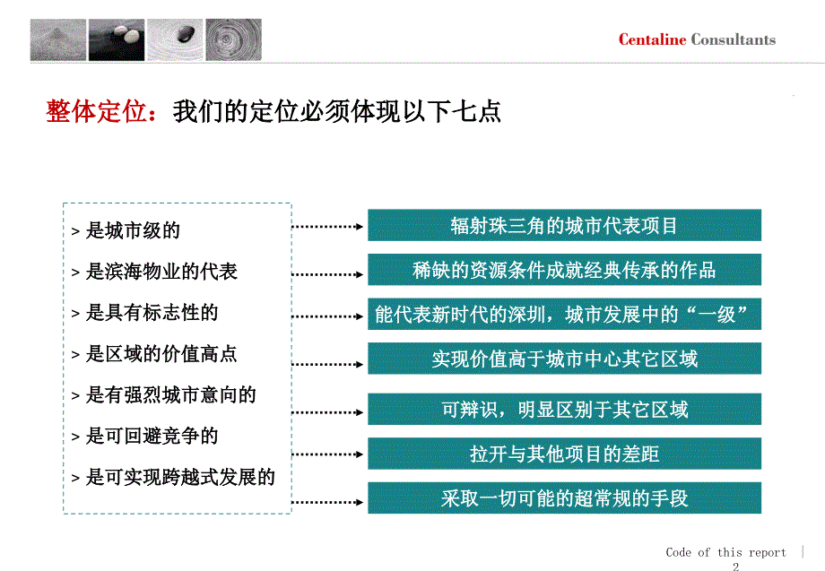 某公司项目发展战略及定位报告_第2页