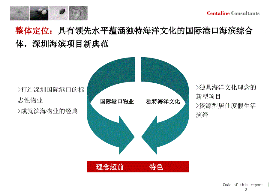 某公司项目发展战略及定位报告_第3页