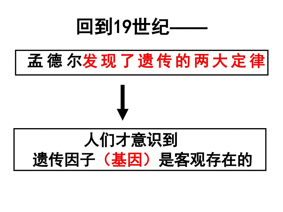 基因在染色体上_第2页