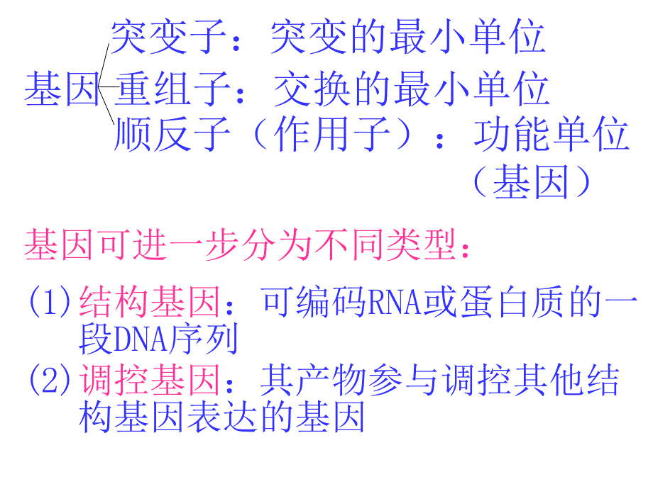 基因表达与调控_第4页