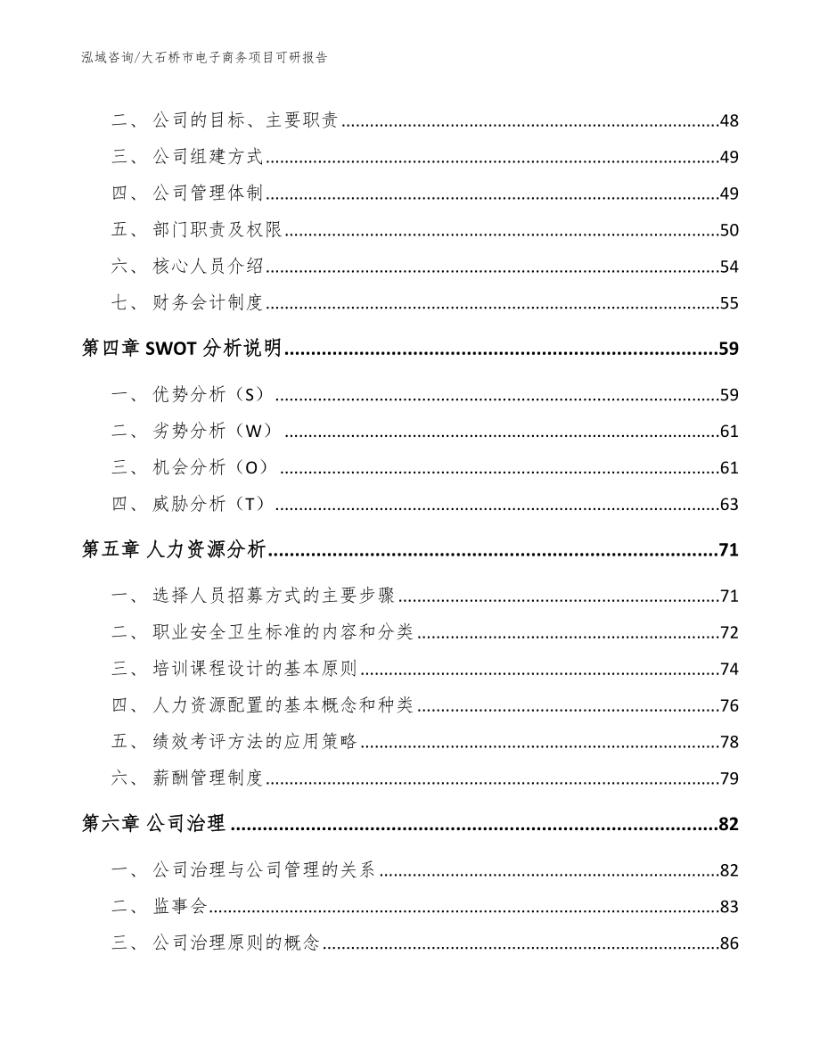 大石桥市电子商务项目可研报告（参考模板）_第2页