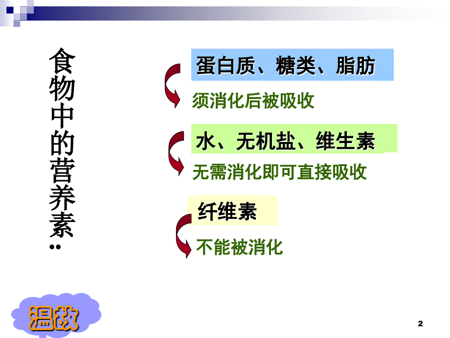 食物的消化与吸收共课时_第2页