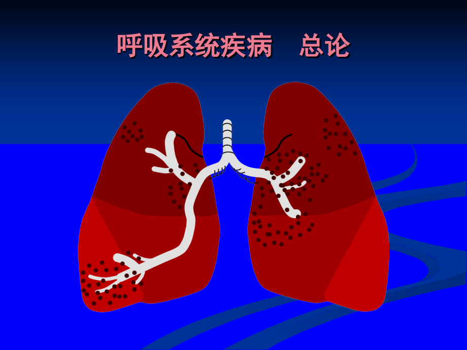 内科护理学-呼吸系统总论课件_第2页